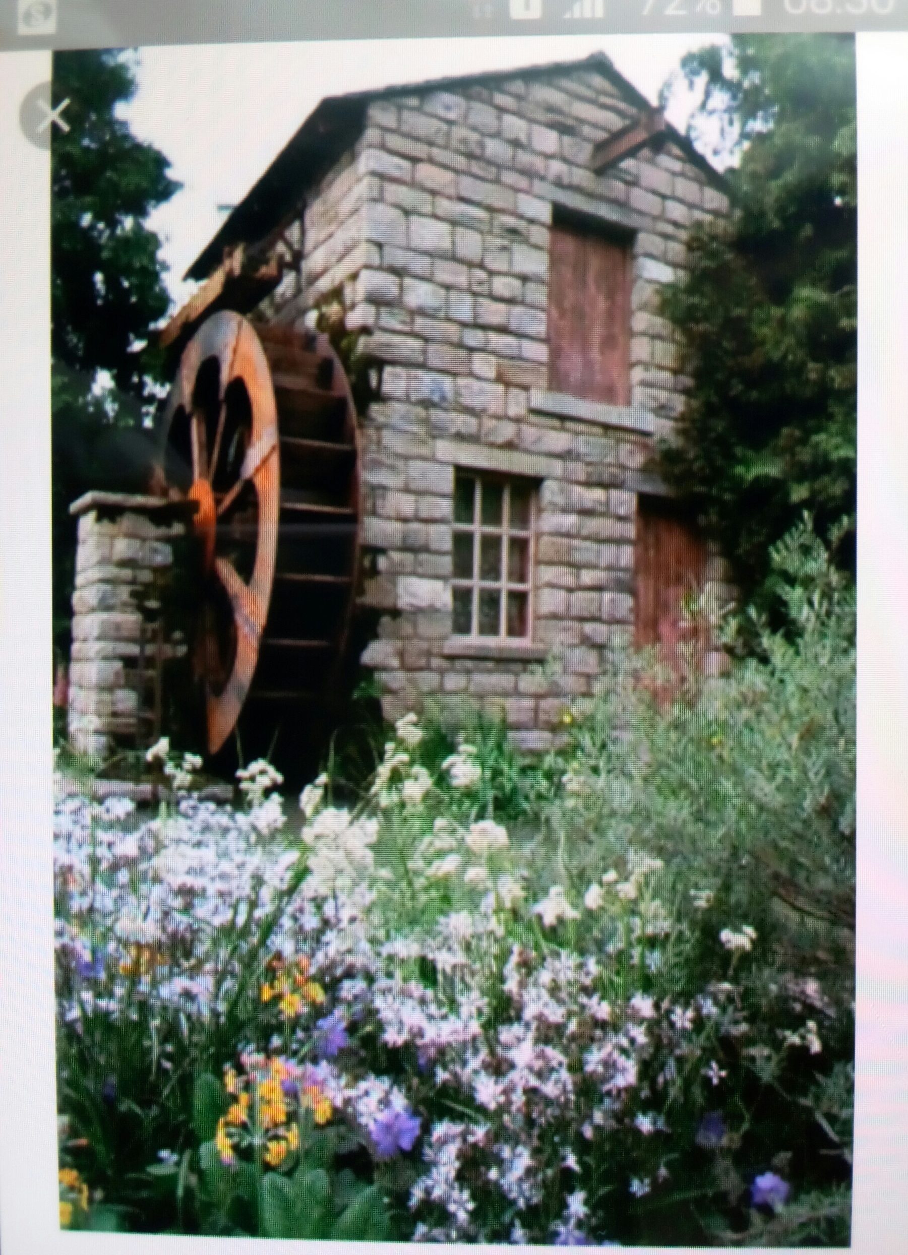 This is our involvement with the Chelsea flower show.and construction of a millpond water wheel..award winning..2012